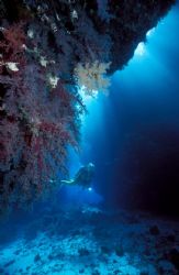 It's so quiet down there.

Nikonos V with 15mm and YS-3... by Paul Quets 